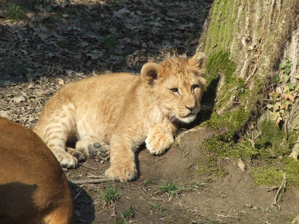 Wat te doen in Kerkrade